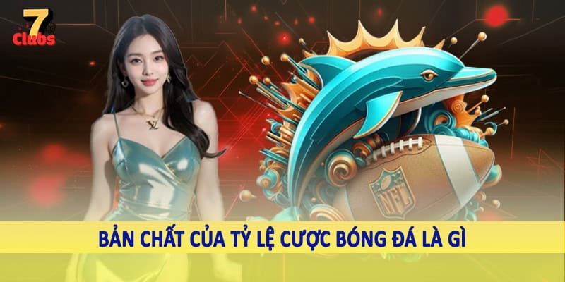 Tỷ Lệ Cược Bóng Đá Là Gì - Chiến Thuật Đầu Tư Vào Kèo Cá Độ 2 Bản chất của tỷ lệ cược bóng đá là gì