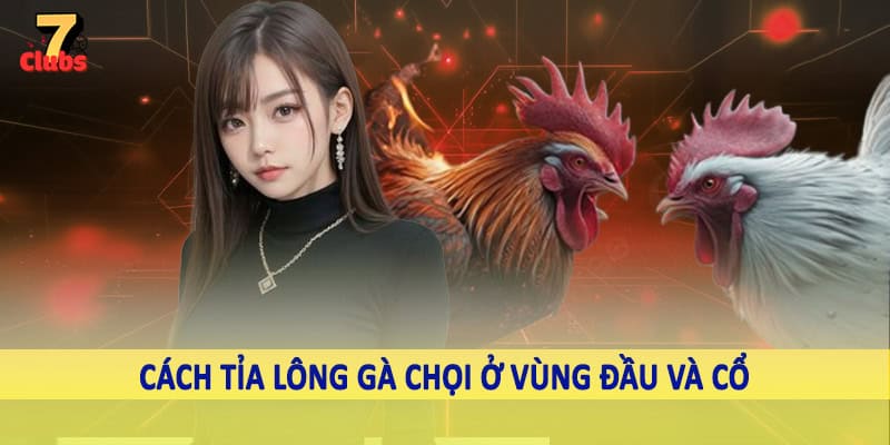 Cách Tỉa Lông Gà Chọi - Kiến Thức Quan Trọng Hội Viên Cần Nắm 3 Cách tỉa lông gà chọi ở vùng đầu và cổ