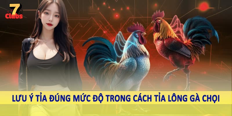 Cách Tỉa Lông Gà Chọi - Kiến Thức Quan Trọng Hội Viên Cần Nắm 5 Lưu ý tỉa đúng mức độ trong cách tỉa lông gà chọi