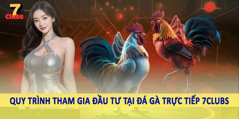 Đá Gà Trực Tiếp 6 Quy trình tham gia đầu tư tại đá gà trực tiếp 7Clubs