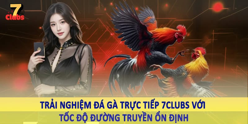 Đá Gà Trực Tiếp 2 Trải nghiệm đá gà trực tiếp 7Clubs với tốc độ đường truyền ổn định