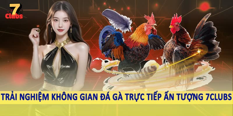 7Clubs 18 Trải nghiệm không gian đá gà trực tiếp ấn tượng 7Clubs